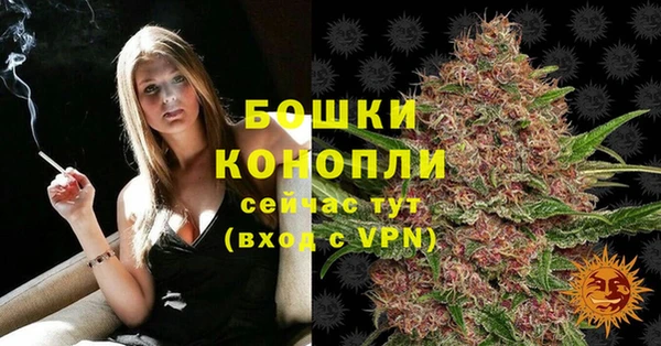 шишки Гусь-Хрустальный