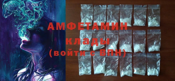 шишки Гусь-Хрустальный