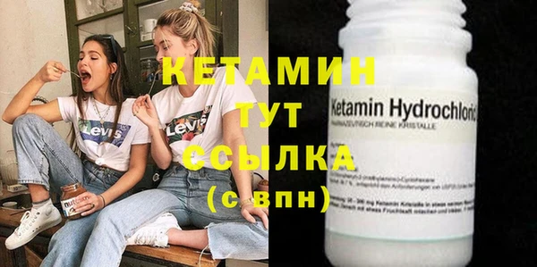 шишки Гусь-Хрустальный