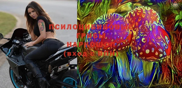 шишки Гусь-Хрустальный