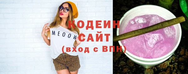 шишки Гусь-Хрустальный