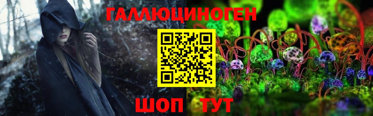 Псилоцибиновые грибы Psilocybine cubensis  Вход с VPN  Урус-Мартан  Галлюциногенные грибы мицелий 